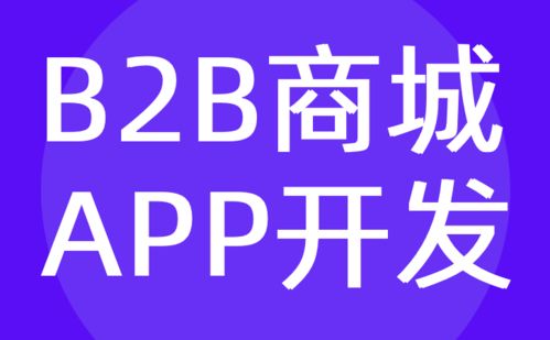 广州b2b商城app开发 电商平台系统定制 红匣子科技